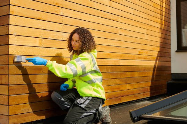 Best Storm Damage Siding Repair  in Lovelock, NV